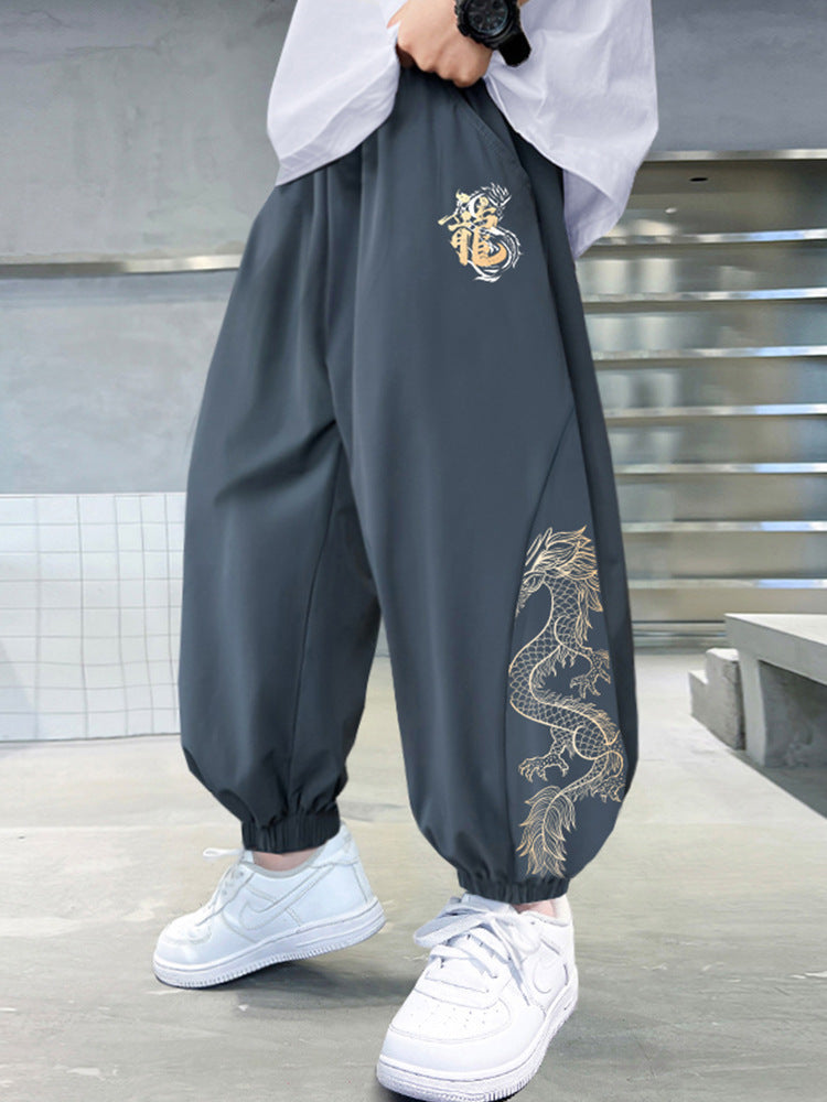 Boys Summer Casual Pants Dragon Theme Quick-Dry Sports Trousers