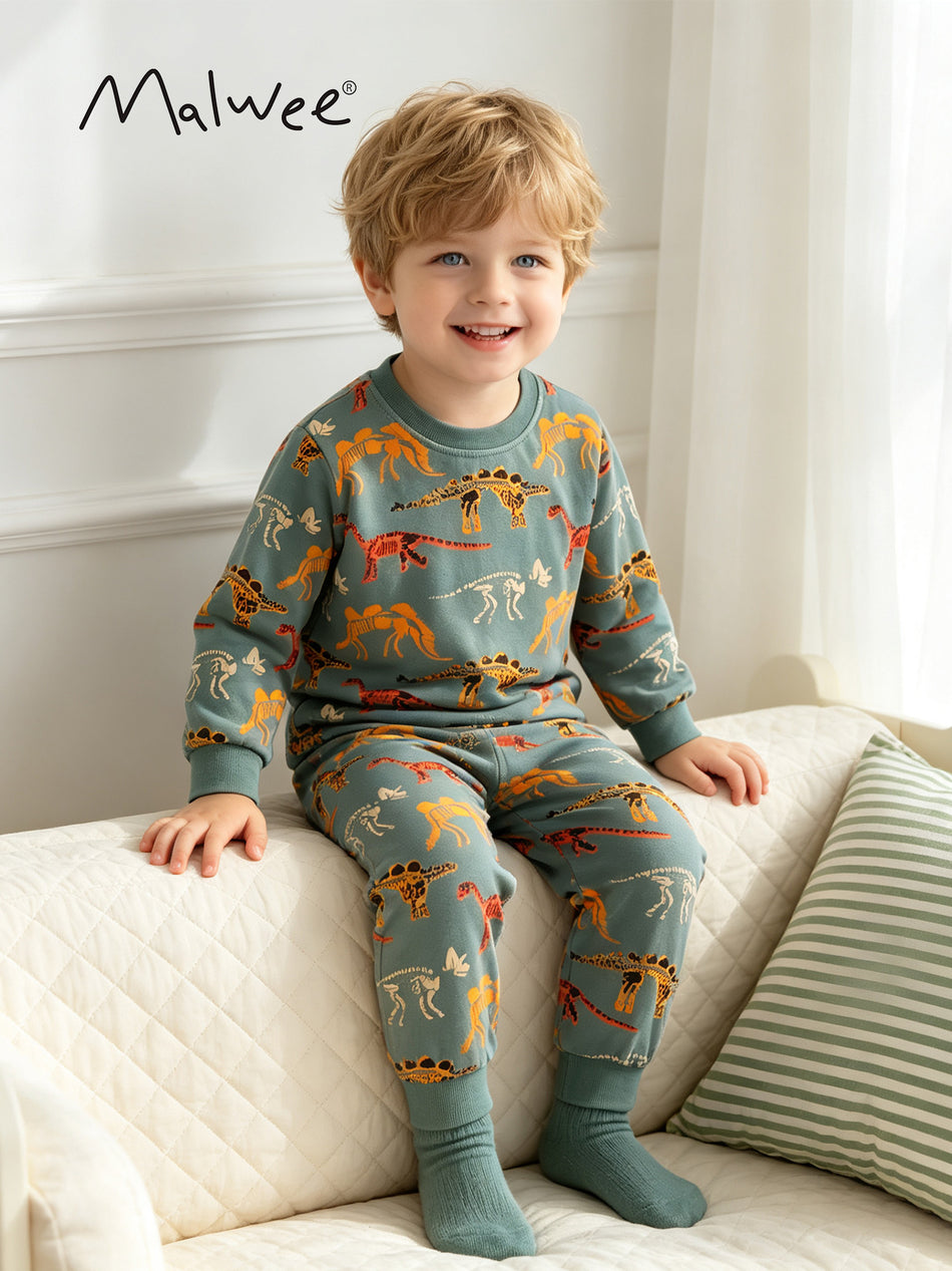 Boys’ 95% Cotton Pullover Sweatshirt and Pants Two-Piece Set